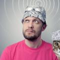 Tinfoil hat and tinfoil cat by Bill D on Twitter